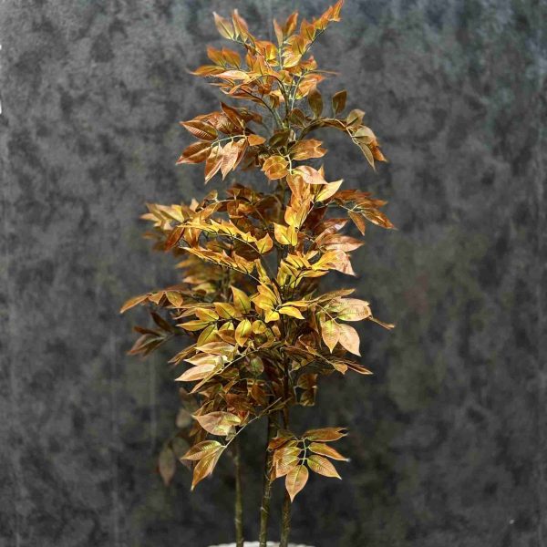 اقاقیا پاییزی 140 cm-کد 7780