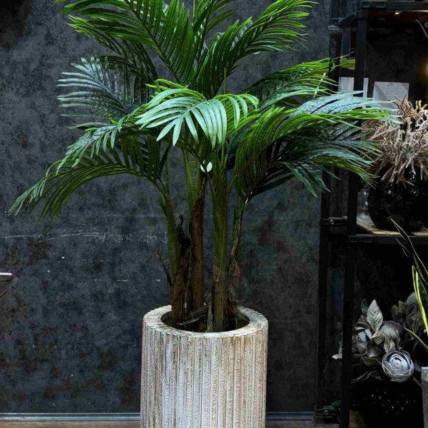 کنتیا 5 تنه 150 cm