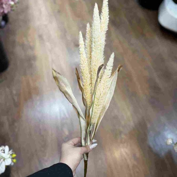 دم روباهی