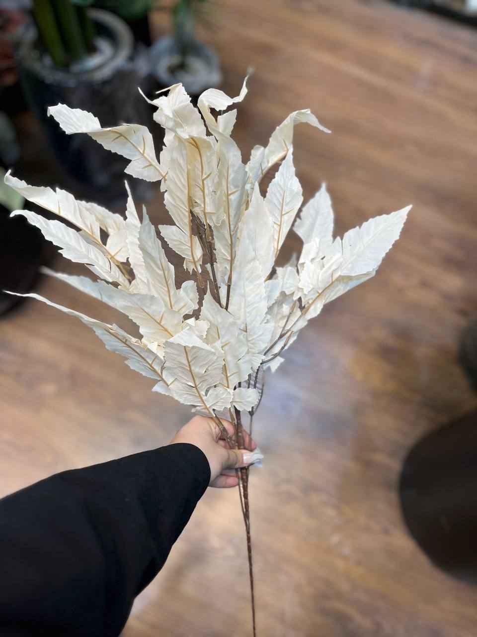 photo_۲۰۲۵-۰۷-۱۹_۱۷-۱۱-۴۷ (1)