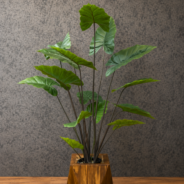 بابا ادم بوته ای 180cm